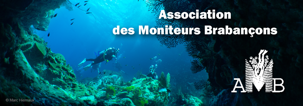 AMB Association des moniteurs Brabançons